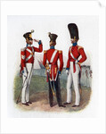 Uniform of the 86th Regiment by Anonymous