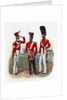 Uniform of the 86th Regiment by Anonymous