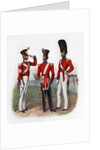 Uniform of the 86th Regiment by Anonymous