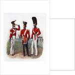 Uniform of the 86th Regiment by Anonymous