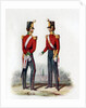 Uniform of the 19th Regiment by Anonymous