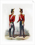 Uniform of the 19th Regiment by Anonymous