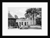 View in the Zoological Gardens, Calcutta, India by Anonymous