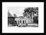 View in the Zoological Gardens, Calcutta, India by Anonymous