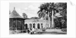 View in the Zoological Gardens, Calcutta, India by Anonymous