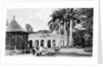 View in the Zoological Gardens, Calcutta, India by Anonymous