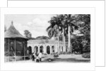 View in the Zoological Gardens, Calcutta, India by Anonymous