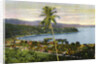 Port Maria, Jamaica by Anonymous