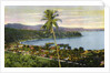 Port Maria, Jamaica by Anonymous