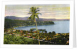 Port Maria, Jamaica by Anonymous