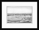 Strand and cricket ground, panorama of Calcutta, India by Frederick Fiebig