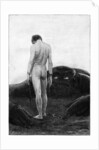 The Helplessness of Man Against Destiny by JF Weber