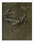 Study for 'The Sea Maiden', by Herbert J Draper by Anonymous