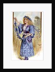 The Cornflower by Anonymous