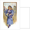 The Cornflower by Anonymous