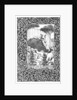Frontispiece to The Field of Clover by Clemence Housman