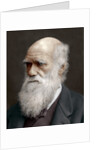 Charles Darwin, British naturalist by Anonymous