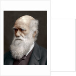 Charles Darwin, British naturalist by Anonymous