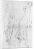 Study for the greyhound in the portrait of the Duke of Richmond by Anonymous