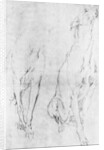 Study for the greyhound in the portrait of the Duke of Richmond by Anonymous