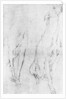 Study for the greyhound in the portrait of the Duke of Richmond by Anonymous