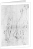 Study for the greyhound in the portrait of the Duke of Richmond by Anonymous