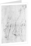 Study for the greyhound in the portrait of the Duke of Richmond by Anonymous