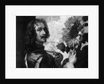 Anthony van Dyck, self-portrait with a sunflower by OL Lacour