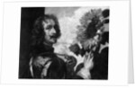 Anthony van Dyck, self-portrait with a sunflower by OL Lacour