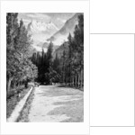 The Dent du Midi from the Valley of the Rhone by Anonymous