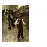 The Plough Boy by Anonymous