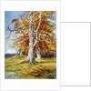 Beech Tree, Autumn by Anonymous