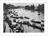 Henley Regatta, Oxfordshire by Anonymous