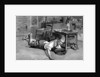 Narcissus by Anonymous
