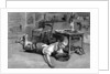 Narcissus by Anonymous