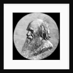 Charles Darwin by Anonymous
