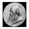 Charles Darwin by Anonymous