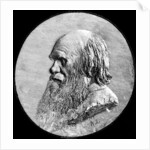 Charles Darwin by Anonymous
