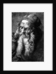 Study of an Old Man by Anonymous