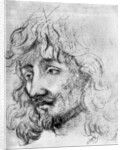 Study of a Head by Anonymous