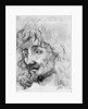 Study of a Head by Anonymous
