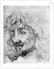 Study of a Head by Anonymous