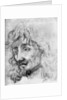 Study of a Head by Anonymous