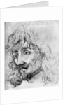 Study of a Head by Anonymous