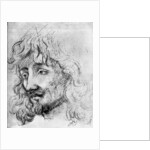 Study of a Head by Anonymous