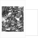 St George and the Dragon by Anonymous