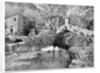 On the Road to Ceriana, San Remo by Anonymous