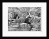 On the Road to Ceriana, San Remo by Anonymous