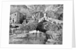 On the Road to Ceriana, San Remo by Anonymous
