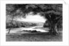 The Vale of Avoca by Anonymous